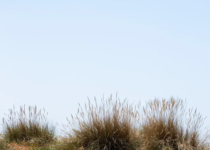 度假居 Viana Fishers House - Pool & ! 维亚纳堡