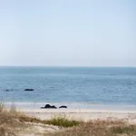 Viana Fishers House - Pool & ! Nyaraló