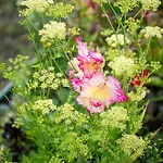 Viana Fishers House - Pool & ! Nyaraló