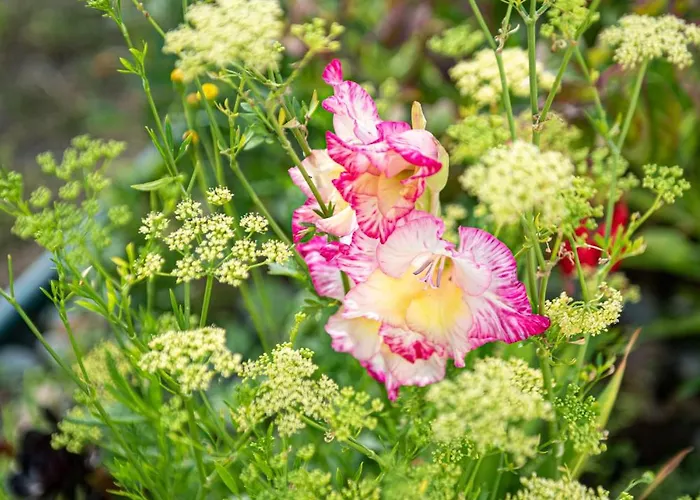 Viana Fishers House - Pool & ! Casa de Férias